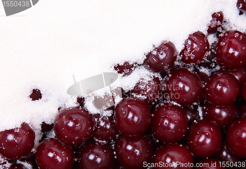 Image of Ripe red cherries and white sugar