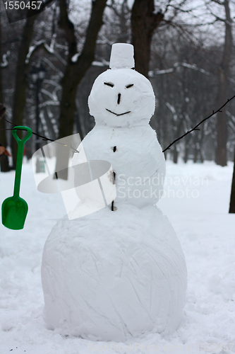 Image of Snownam
