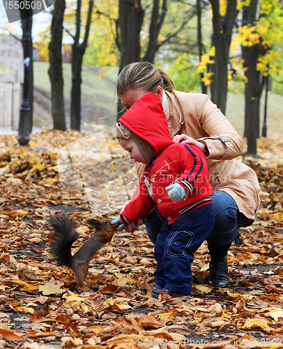 Image of Little boy feeds a squirrel