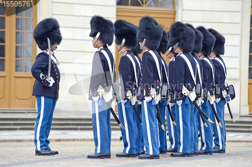 Image of Denmark Royal guard