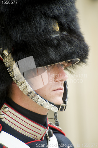 Image of Denmark Royal guard