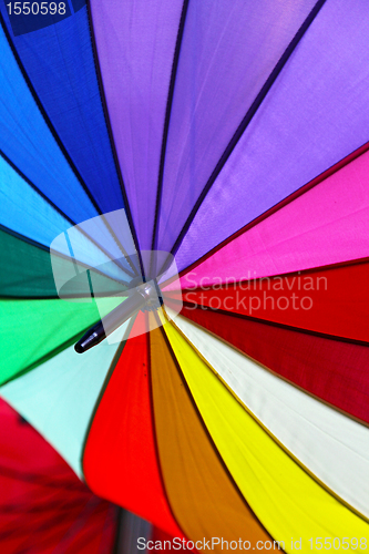 Image of Color umbrella