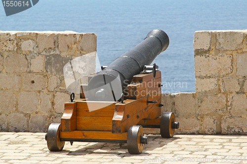 Image of Cannon