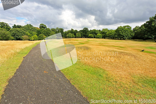 Image of Greenwich park