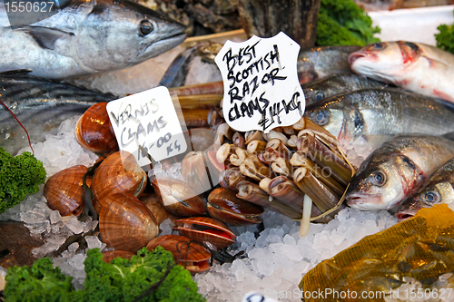 Image of Fresh seafood