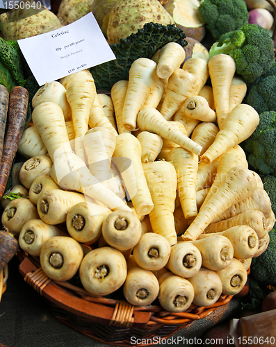 Image of Parsnip