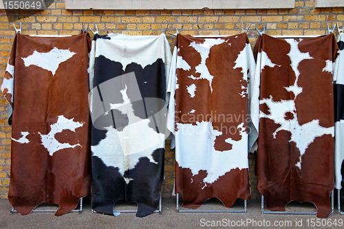 Image of Cowhide