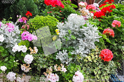 Image of Garden