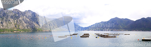 Image of Aquaculture Montenegro