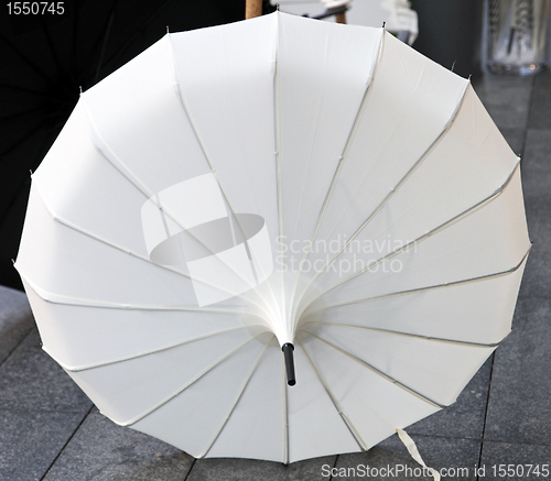 Image of White parasol