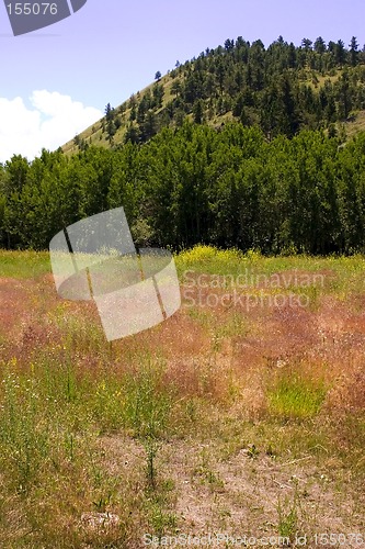 Image of Country View in Helena Montana