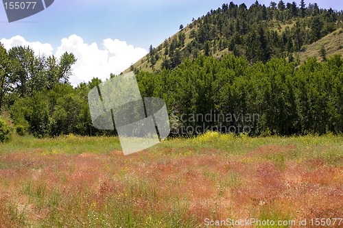 Image of Country View in Helena Montana