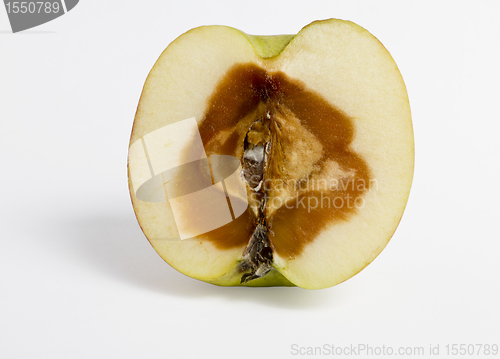 Image of feculent apple rotten from the center - with clipping path