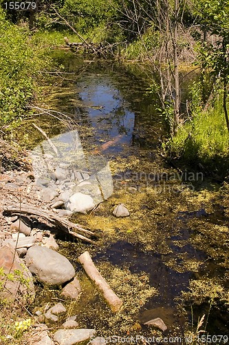 Image of Still Part of River in Helena Montana