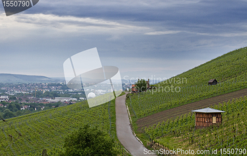 Image of landscape with vineyard in south germany
