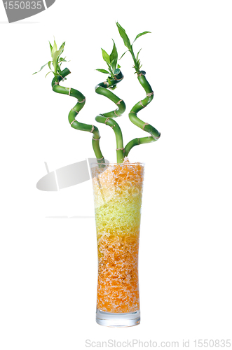 Image of Glass jar with bamboo