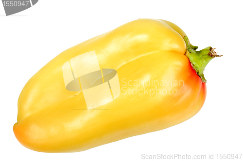 Image of Single orange fresh pepper