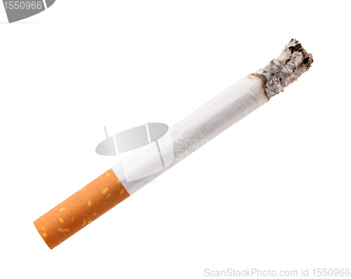 Image of Single cigarette butt with ash