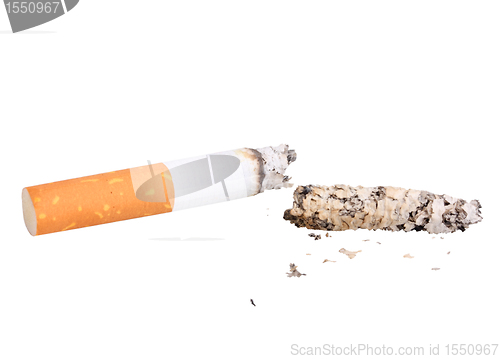 Image of Single cigarette butt with ash