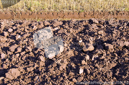 Image of Plowed agriculture field background  fertile land 