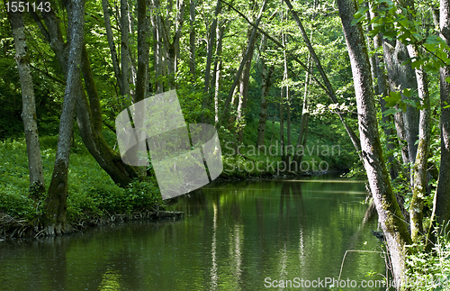 Image of green river