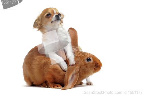 Image of no caption