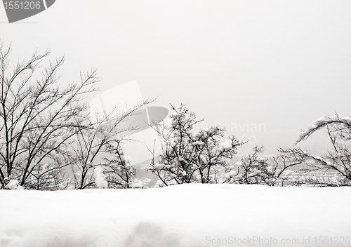 Image of Turin view