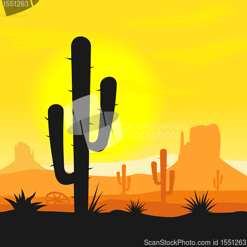 Image of Cactus plants in desert