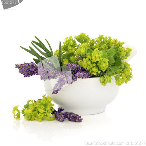 Image of Lavender and Ladies Mantle Flowers