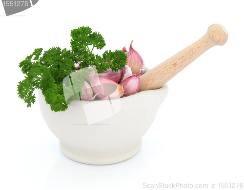 Image of Garlic and Parsley Herb