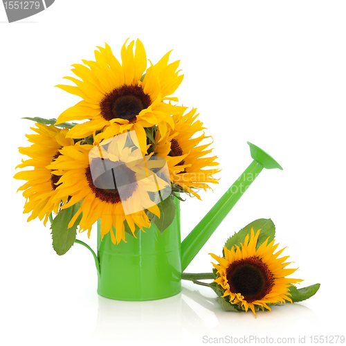 Image of Sunflowers