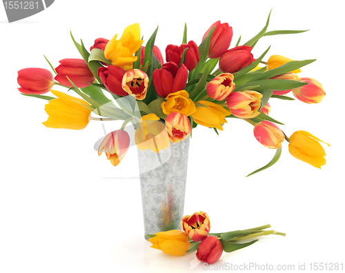 Image of Tulip Flower Beauty
