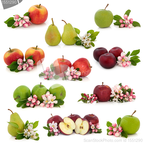 Image of Fruit Collection