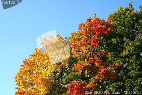 Image of Fall in germany