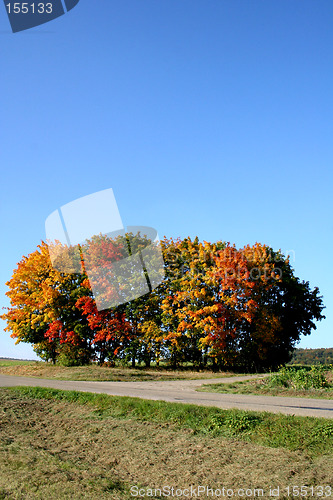 Image of Fall in germany