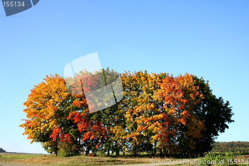 Image of Fall in germany