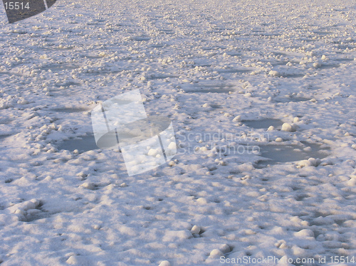 Image of Ice field