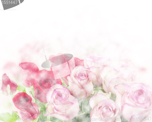 Image of Roses