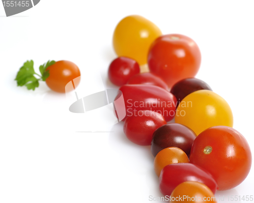 Image of Fresh Tomatoes Assortment