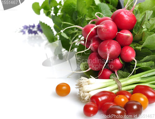 Image of Fresh Vegetables And Herbs