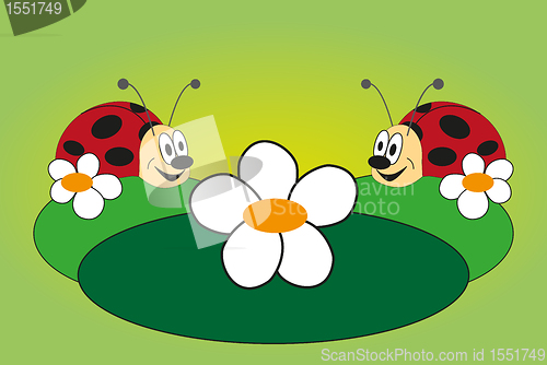 Image of Funny picture of two ladybug