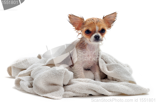 Image of after bath