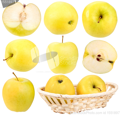 Image of Abstract set of fresh yellow apples