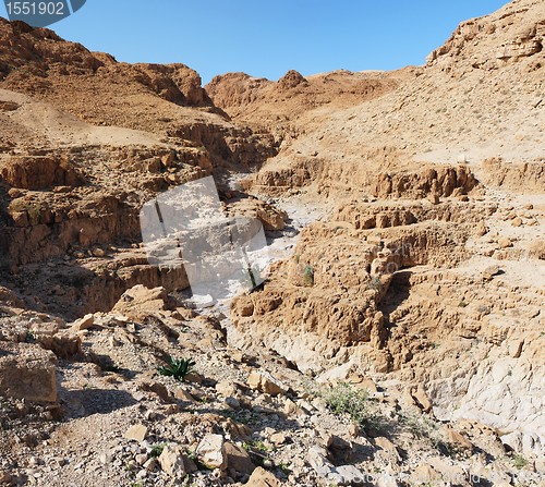 Image of Gorge in desert cut by a Qumran creek near the Dead Sea