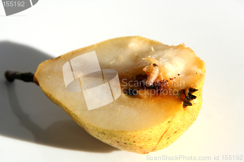 Image of Pear with worm