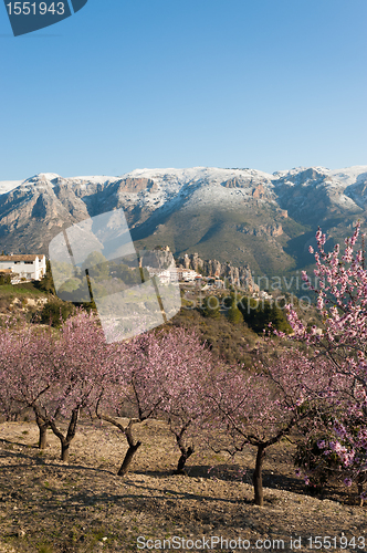 Image of Guadalest valley