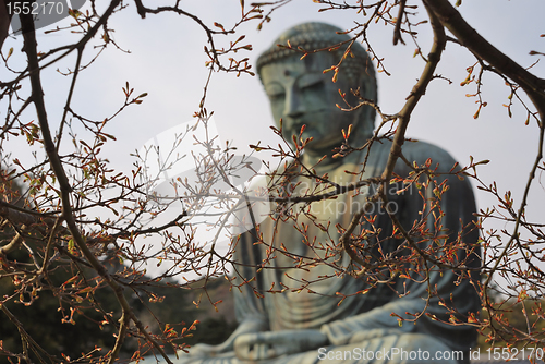 Image of giant Buddha at spring