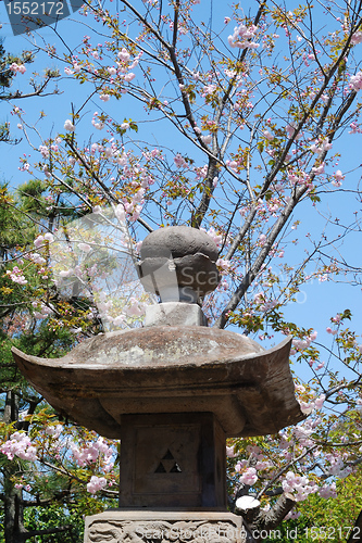 Image of spring in Japan