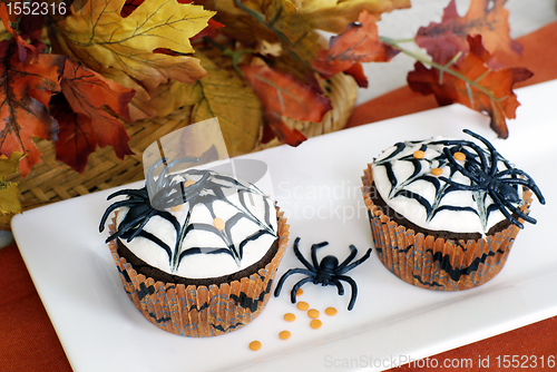 Image of Halloween cupcakes