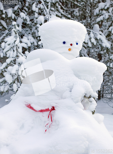 Image of Snowman made by nature and resourceful man